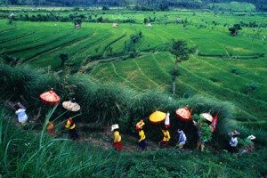 bali la hon dao cua le hoi