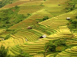 mu cang chai vo cung xinh dep