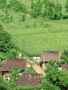 nhung mai nha lap lo