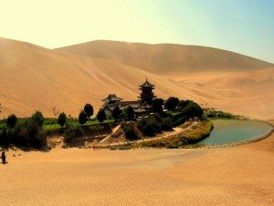 oc dao trang luoi liem