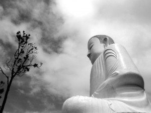 tuong phat uy nghi