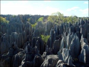 vuon quoc gia tai madagasca