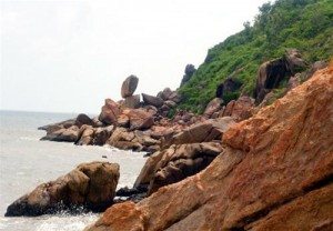 da vong phu