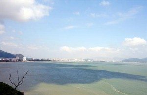 tp quy nhon nhin tu xa
