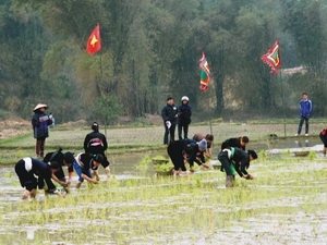 du lich tuyen quang va le hoi long tong nhan di san van hoa phi vat the qg