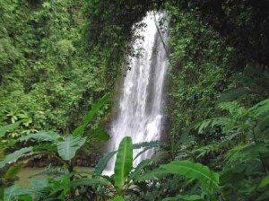xay dung vung du lich sinh thai quoc gia mang den