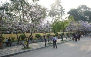 du lich ha noi vao thang 3 1