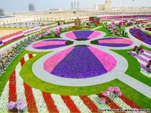 nhin ngam cong vien hoa tu nhien khi du lich o dubai