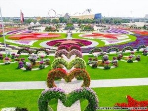 toan canh khu vuon hoa