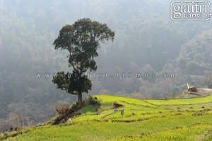 cung duong nay cung co nhung noi hao hao tay bac viet nam