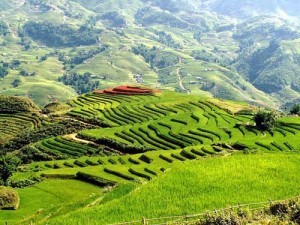 trong danh sach co ca sapa va vinh ha long