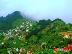 den vinh phuc tham quan khu du lich tam dao