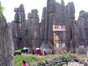 khu rung da tu nhien Thach Lam