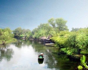 phong canh thien nhien