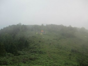 Cam trai cho hoang hon xuong