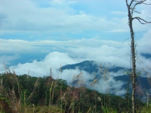 May bong benh tren dinh Hon Ba