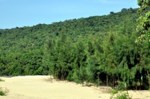 Vinh Bai Tu Long