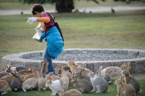 Dao Tho Okunoshima