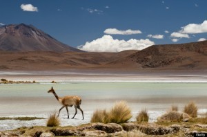 Du lich Bolivia