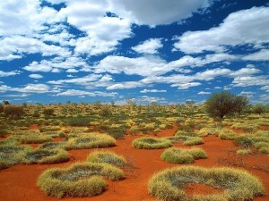 Bao ton thien nhien o Australia