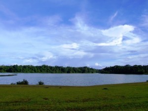 Bau nuoc trong trang co