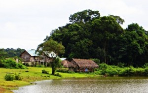 Nhung ngoi nha san cua nguoi M Nong