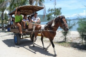 Dao dao Khi tren xe ngua