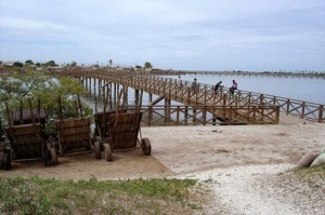 Nghia trang duoc bao phu boi vo so