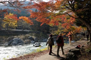 Canh dep o Tokyo