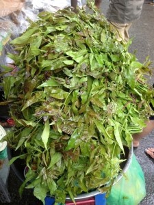 La sau dau ban tong cho