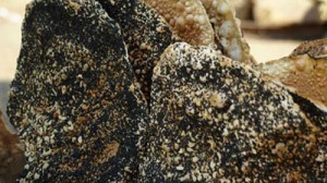 Banh da vung
