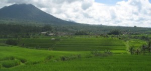 Chi phi du lich o bali