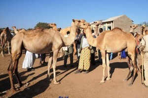 Du lich Mogadishu