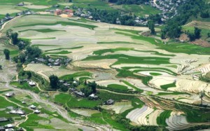 Canh dep ruong bac thang o Tu Le