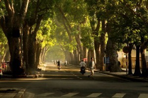 Du lich Ha Noi Viet Nam