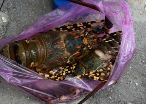Tom hum dac san Binh Ba