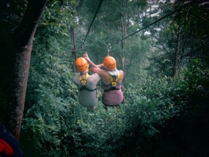 Tro choi Jungle Flight
