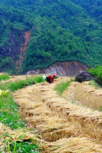 Thi tran Sin Ho
