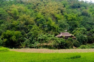 Chon binh yen o ban Muong Giang Mo