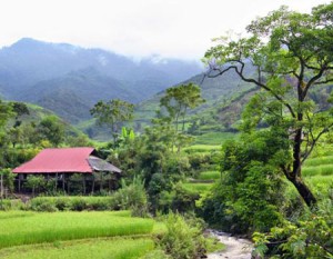 Du lich cao nguyen Sin Ho
