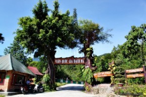 Duong len dinh Bach Ma