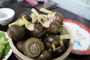 Oc buou nhoi thit