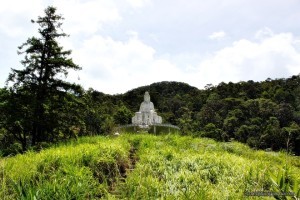 Tuong Quan Am trong vuon quoc gia Bach Ma