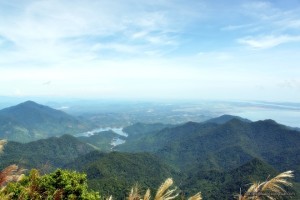 Vong Hai Dai