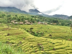 Ruong bac thang