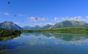 Vuon quoc gia Waterton Lakes
