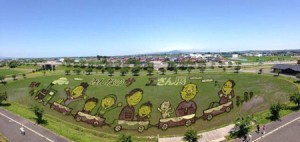 Buc tranh ket hop hai thua ruong