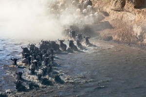 Du lich khu bao ton Masai Mara