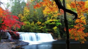 Thac Hooker Falls
