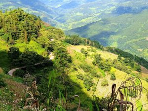 Hình-ảnh-ruộng-bậc-thang-Hoàng-Su-Phì 01